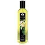 Shunga Erotic Massage Oil - Organica